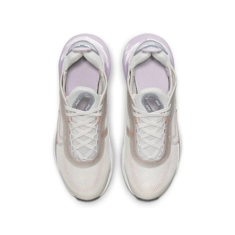 Nike Air Max 2090 Platinum Tint Light Violet (GS) (CJ4066-014)