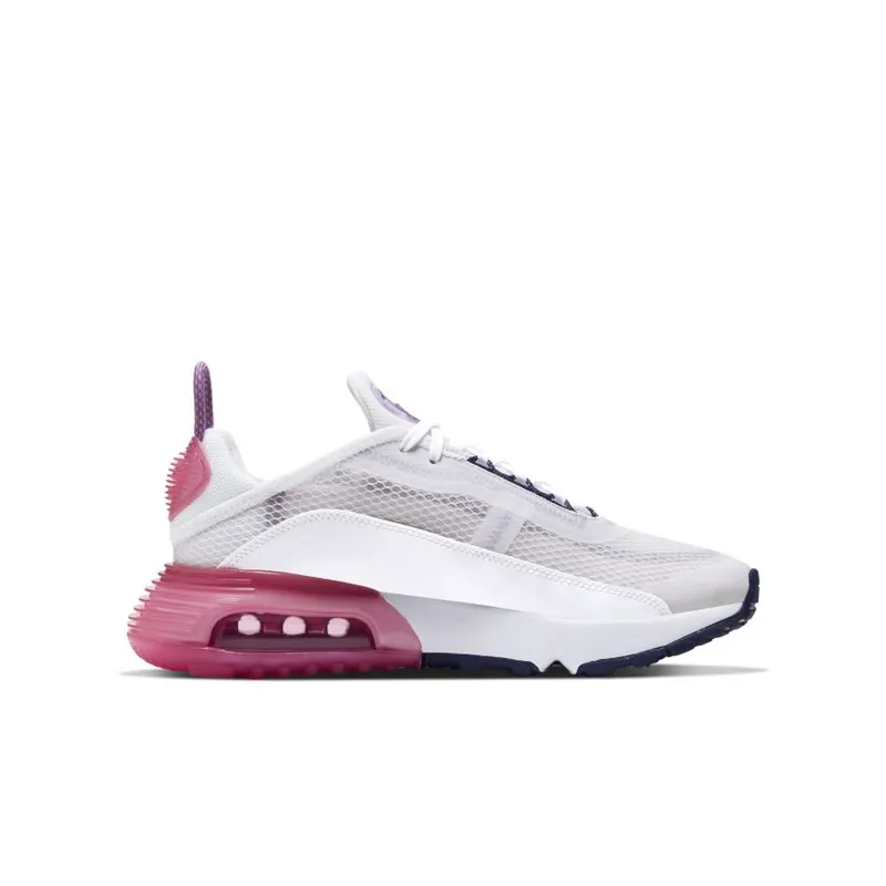 Nike Air Max 2090 Platinum Watermelon Purple (GS) (CJ4066-003)