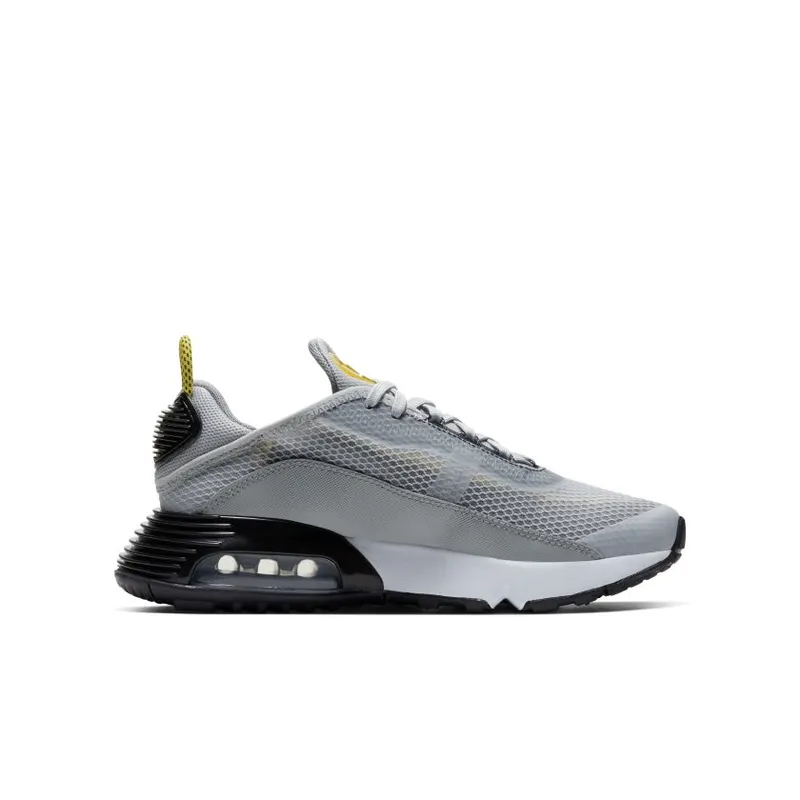 Nike Air Max 2090 Wolf Grey (GS) (CJ4066-002)