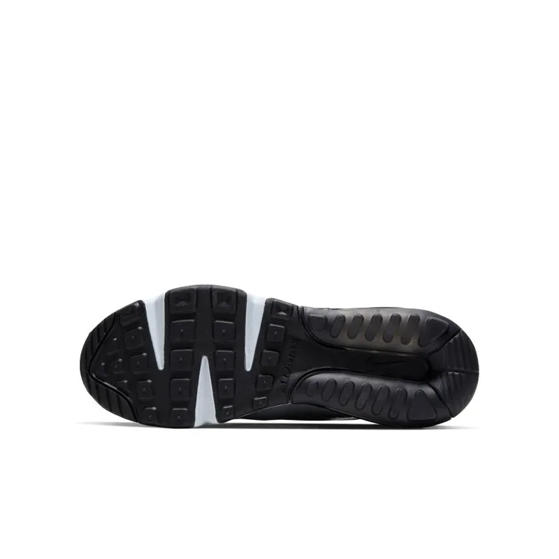Nike Air Max 2090 Wolf Grey (GS) (CJ4066-002)