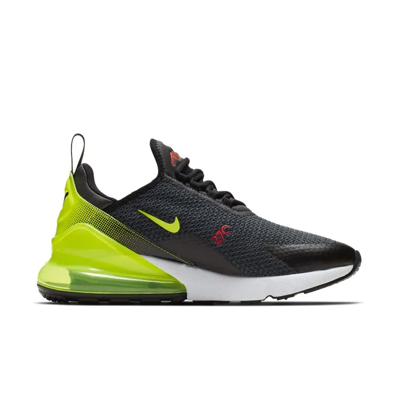 Nike Air Max 270 Retro Future (AQ9164-005)