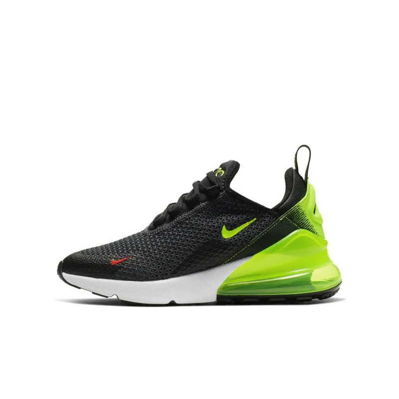 Nike Air Max 270 Retro Future (GS) (AV5141-001)