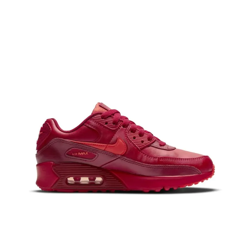 Nike Air Max 90 City Special Chicago (GS) (DH0149-600)