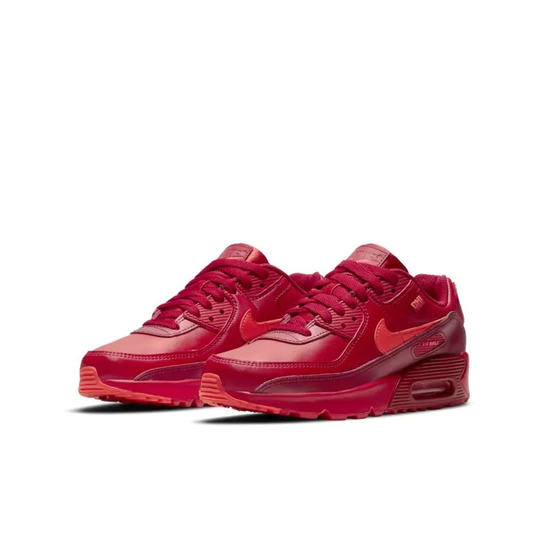 Nike Air Max 90 City Special Chicago (GS) (DH0149-600)