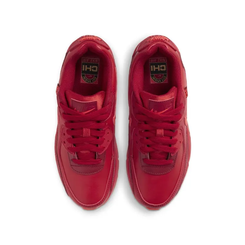 Nike Air Max 90 City Special Chicago (GS) (DH0149-600)
