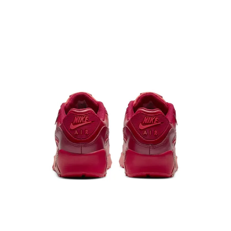 Nike Air Max 90 City Special Chicago (GS) (DH0149-600)