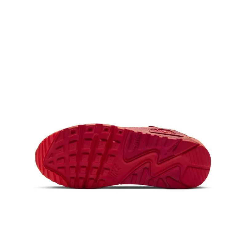 Nike Air Max 90 City Special Chicago (GS) (DH0149-600)