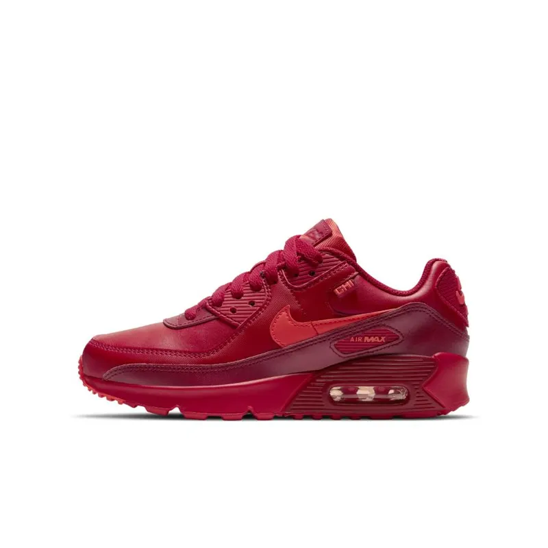 Nike Air Max 90 City Special Chicago (GS) (DH0149-600)