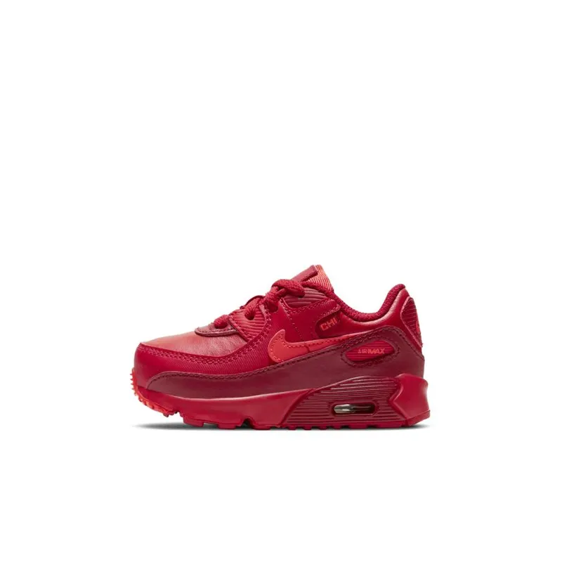 Nike Air Max 90 City Special Chicago (TD) (DH0153-600)