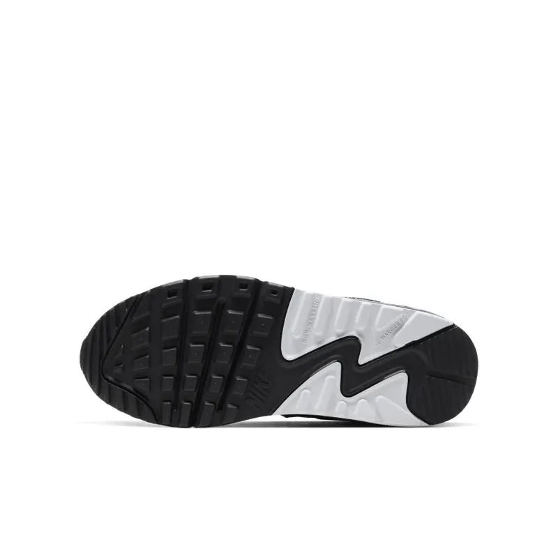 Nike Air Max 90 Oracle Aqua (GS) (CD6864-003)