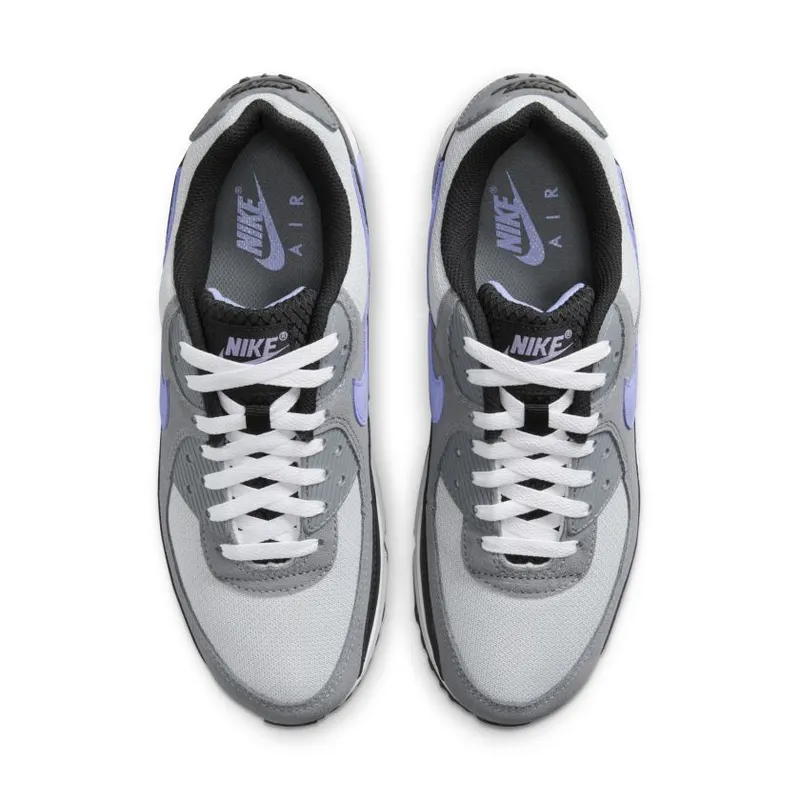 Nike Air Max 90 Photon Dust Light Thistle (DM0029-014)
