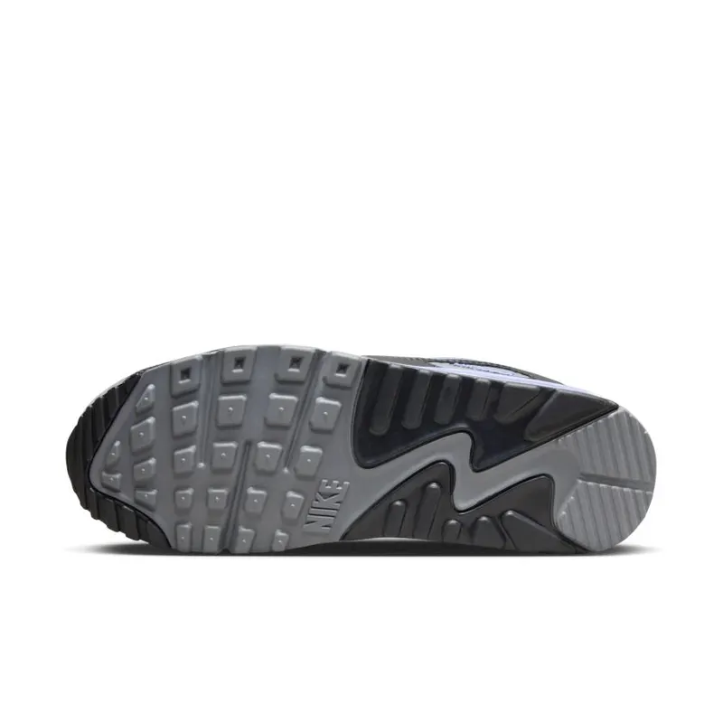 Nike Air Max 90 Photon Dust Light Thistle (DM0029-014)