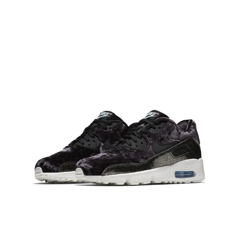 Nike Air Max 90 Pinnacle (GS) (AH8287-001)