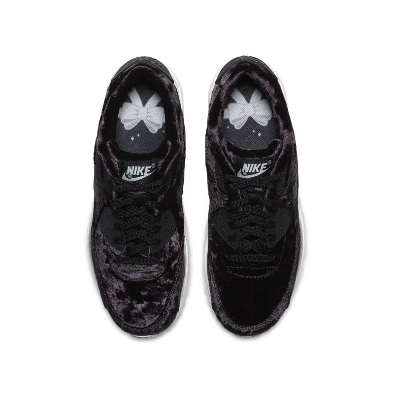 Nike Air Max 90 Pinnacle (GS) (AH8287-001)