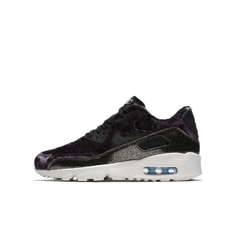 Nike Air Max 90 Pinnacle (GS) (AH8287-001)