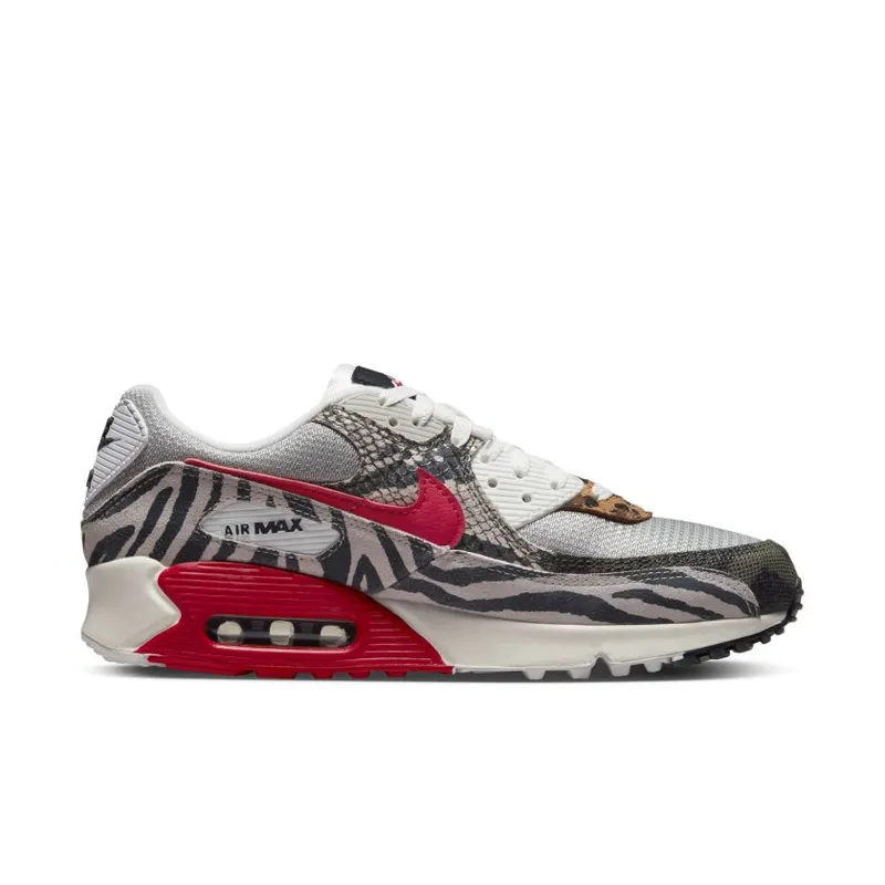 Nike Air Max 90 Tunnel Walk (DZ4839-001)
