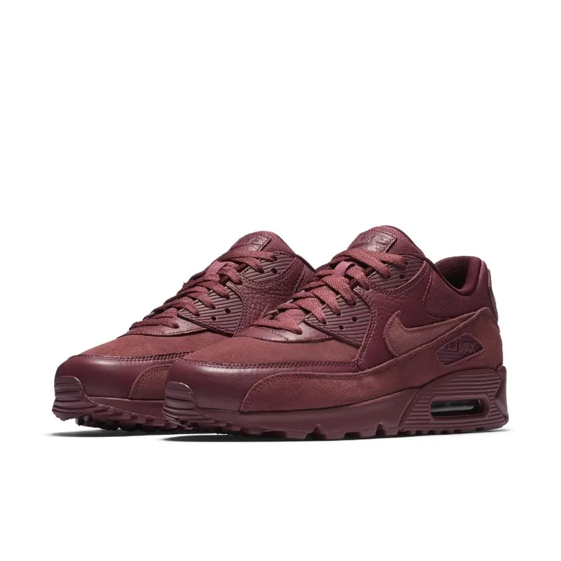 Nike Air Max 90 Vintage Wine (700155-601)