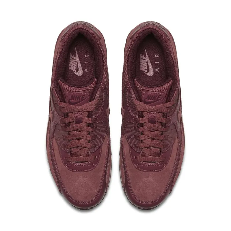 Nike Air Max 90 Vintage Wine (700155-601)