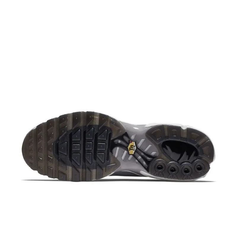 Nike Air Max Plus Big Logo Wolf Grey (AJ7181-001)