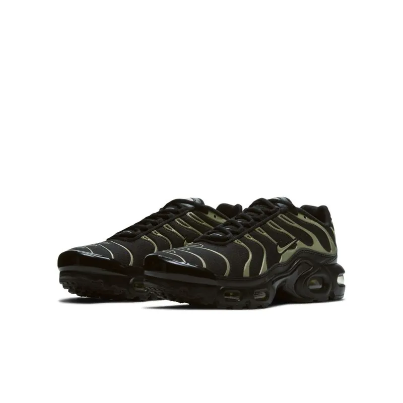 Nike Air Max Plus Black Gold (GS) (CD0609-011)