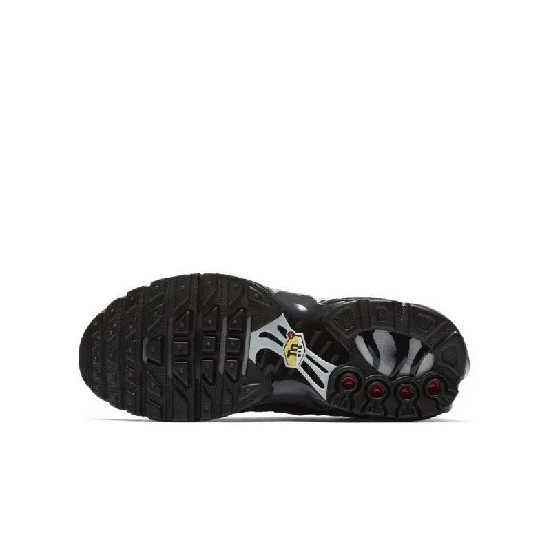 Nike Air Max Plus Black Pure Platinum (GS) (655020-053)
