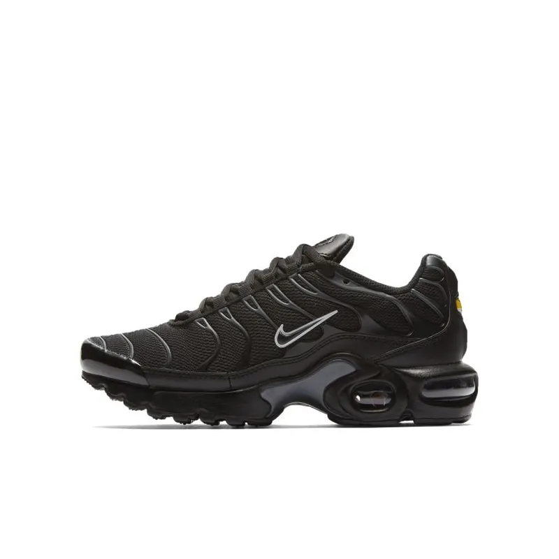 Nike Air Max Plus Black Pure Platinum (GS) (655020-053)