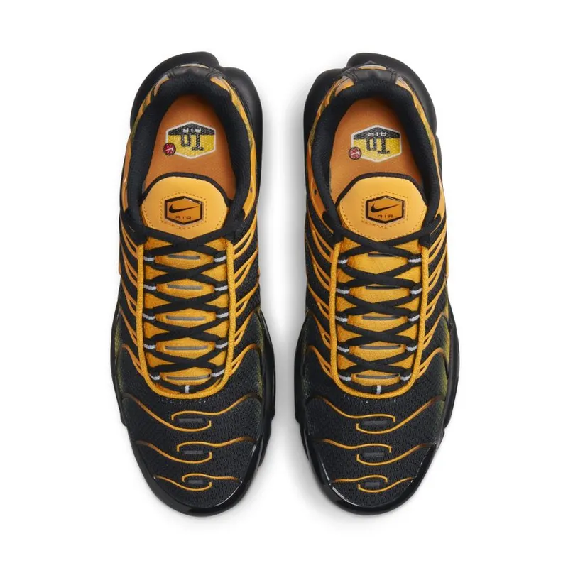 Nike Air Max Plus Black Sundial (DM0032-007)