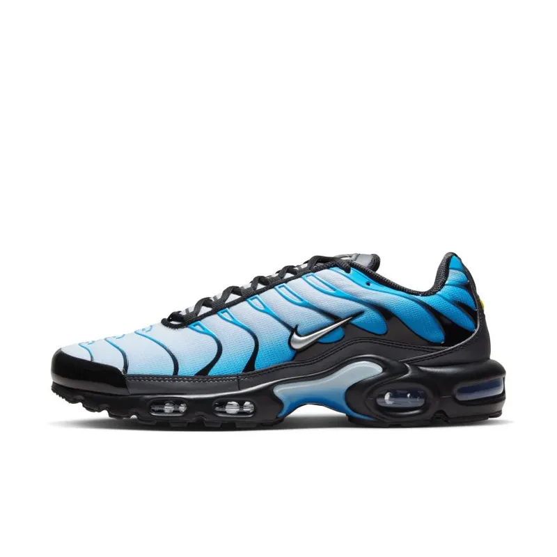 Nike Air Max Plus Blue Gradient (FQ0204-010)