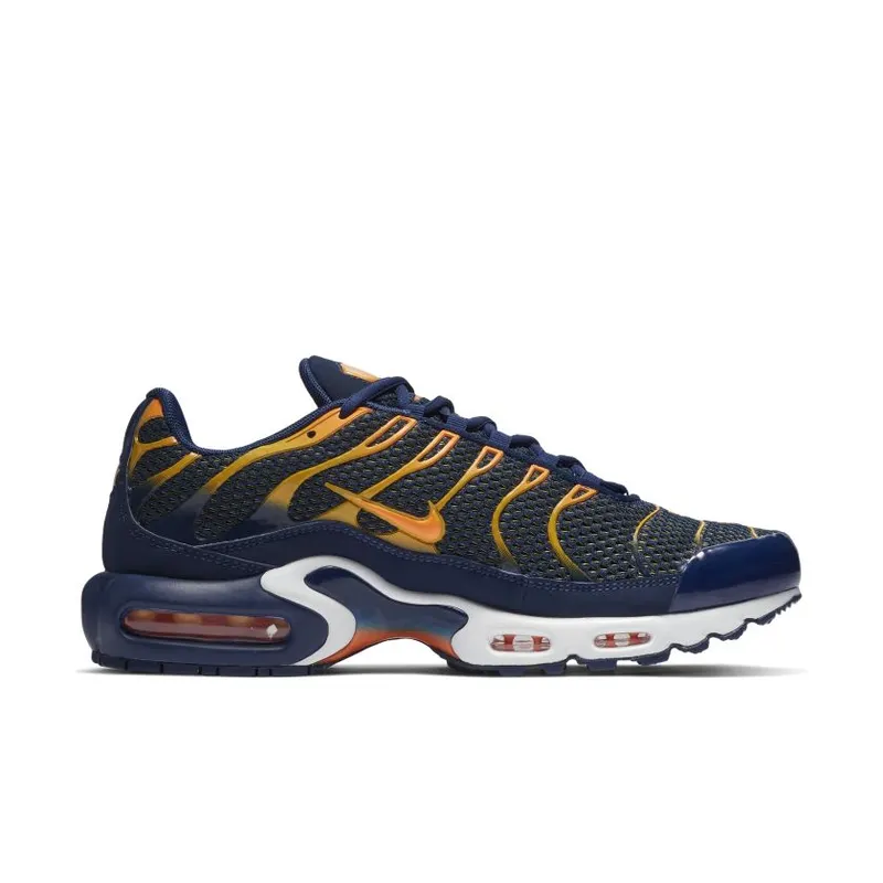 Nike Air Max Plus Blue Void University Gold (852630-408)