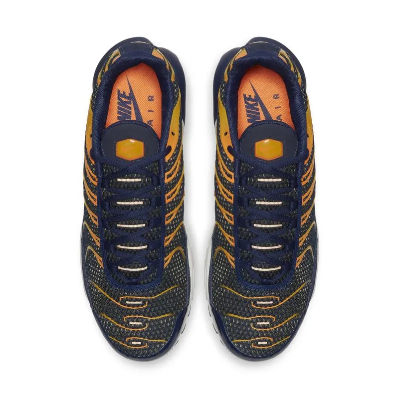 Nike Air Max Plus Blue Void University Gold (852630-408)