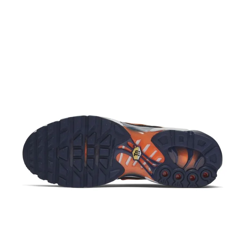 Nike Air Max Plus Blue Void University Gold (852630-408)