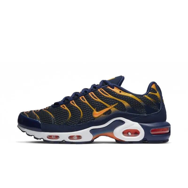 Nike Air Max Plus Blue Void University Gold (852630-408)