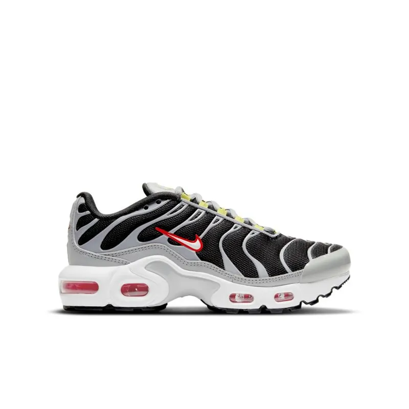 Nike Air Max Plus Dark Smoke Grey (GS) (CD0609-013)