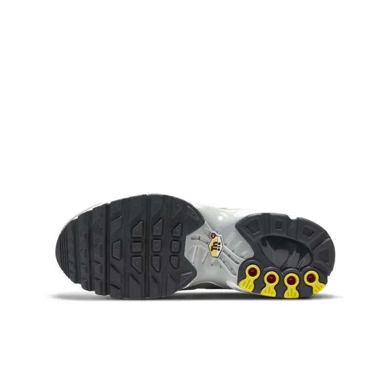 Nike Air Max Plus Dark Smoke Grey (GS) (CD0609-013)