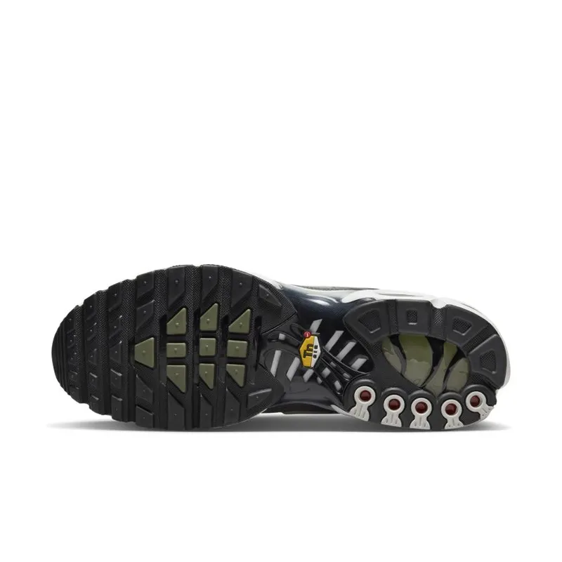 Nike Air Max Plus Flat Pewter (DV7665-002)