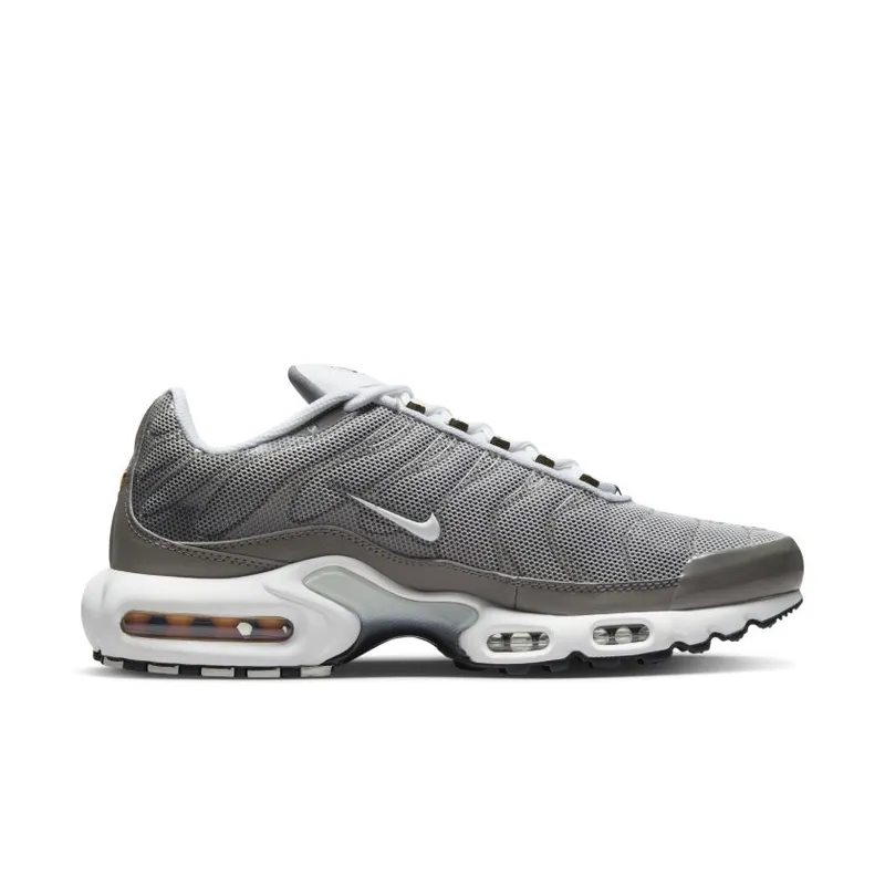 Nike Air Max Plus Flat Pewter (DV7665-002)
