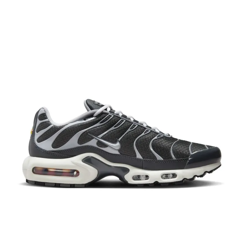 Nike Air Max Plus Greyscale Cool Grey (DZ2655-001)