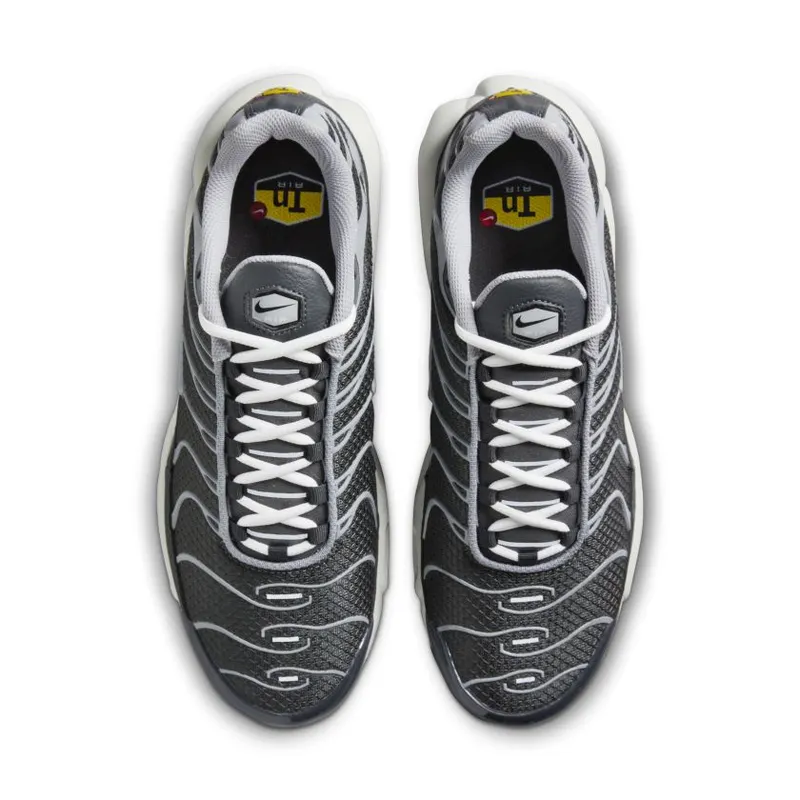 Nike Air Max Plus Greyscale Cool Grey (DZ2655-001)