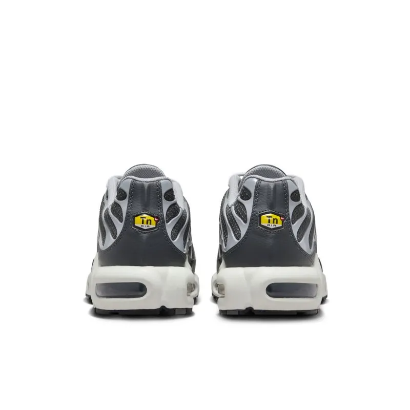 Nike Air Max Plus Greyscale Cool Grey (DZ2655-001)