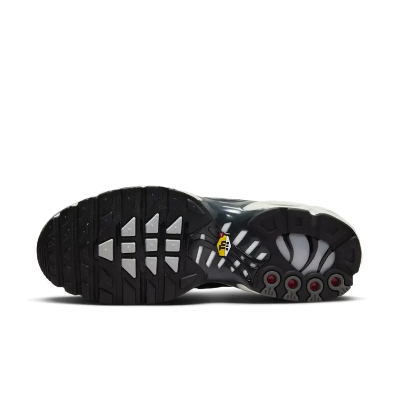 Nike Air Max Plus Greyscale Cool Grey (DZ2655-001)