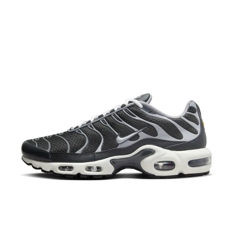 Nike Air Max Plus Greyscale Cool Grey (DZ2655-001)