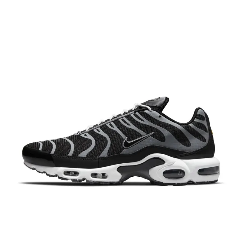 Nike Air Max Plus Grind Dark Smoke Grey (DM2466-001)