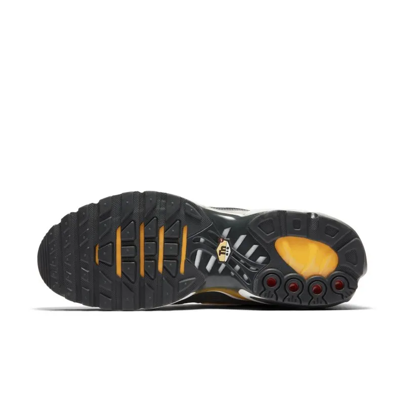 Nike Air Max Plus Liquid Metal Anthracite (AJ2013-005)