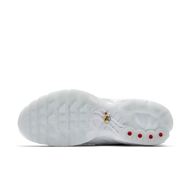 Nike Air Max Plus NIC (AO5117-100)