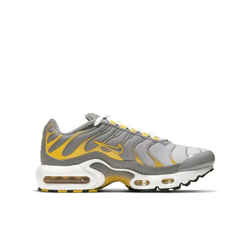 Nike Air Max Plus Particle Grey (GS) (DJ4619-002)