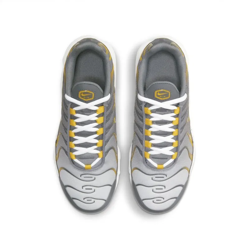 Nike Air Max Plus Particle Grey (GS) (DJ4619-002)