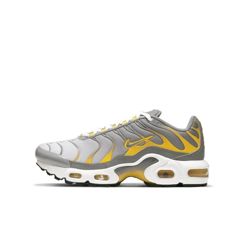 Nike Air Max Plus Particle Grey (GS) (DJ4619-002)