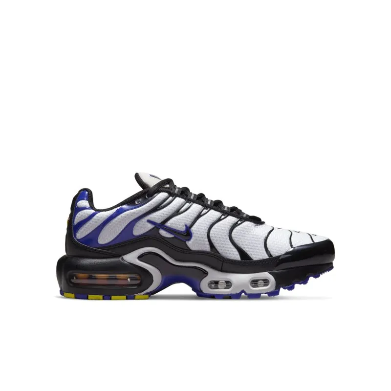 Nike Air Max Plus Persian Violet (GS) (CD0609-104)