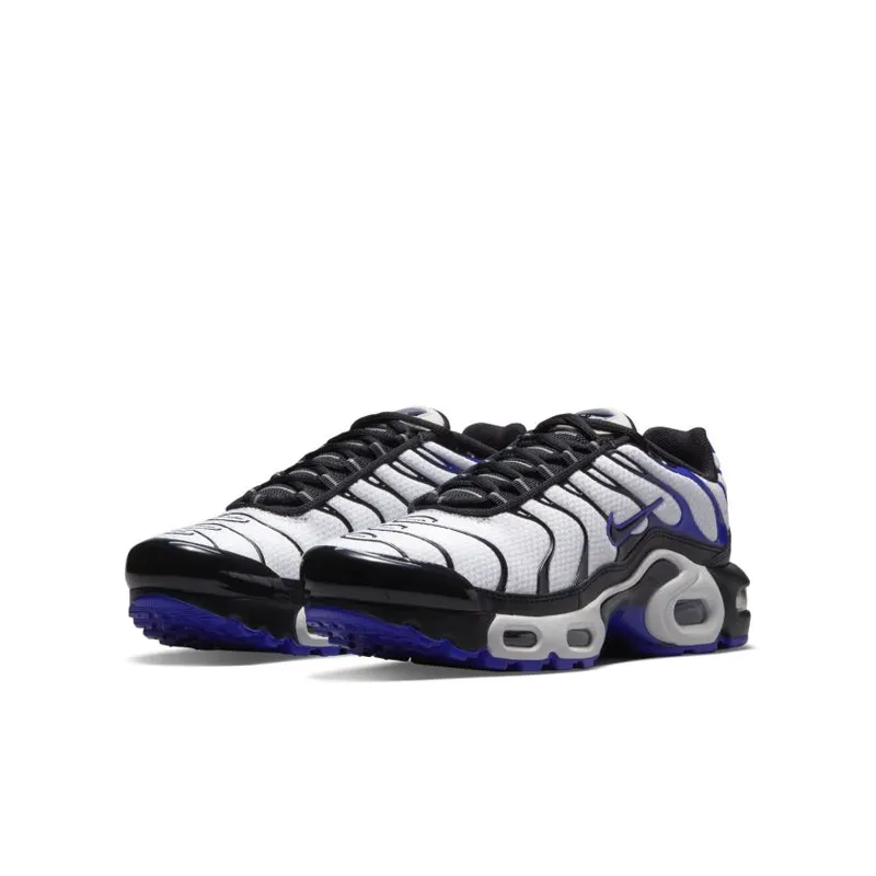 Nike Air Max Plus Persian Violet (GS) (CD0609-104)