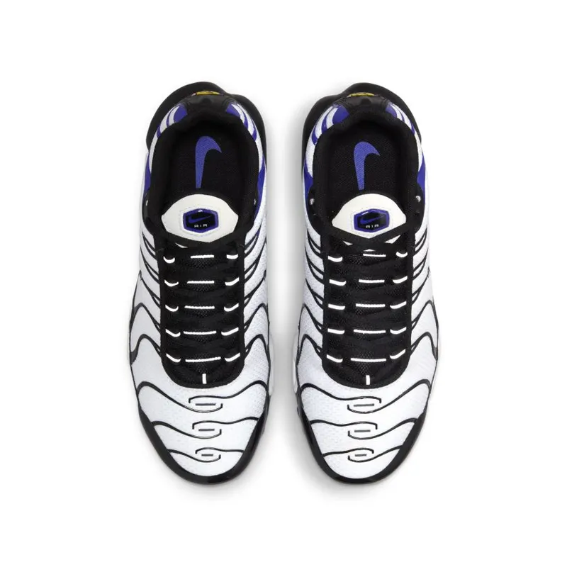 Nike Air Max Plus Persian Violet (GS) (CD0609-104)